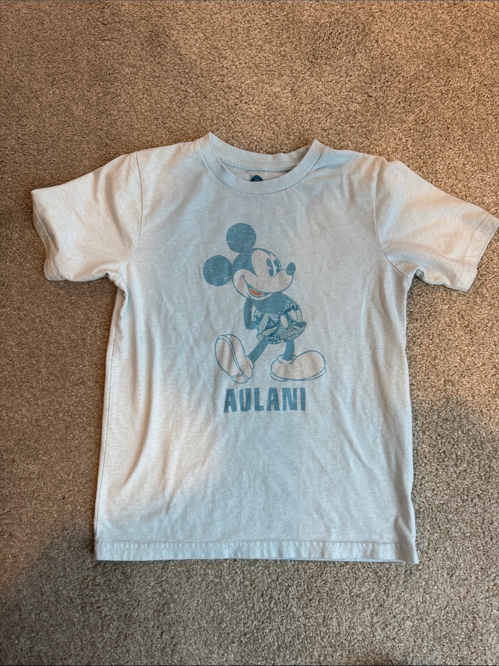 Disney Light Blue Mickey Aulani Graphic Long Sleeve Tee